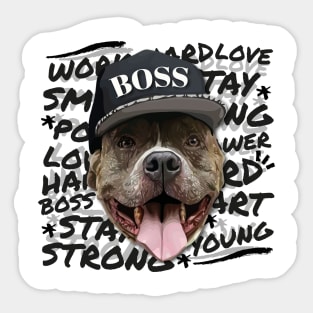 Pitbull Boss Sticker